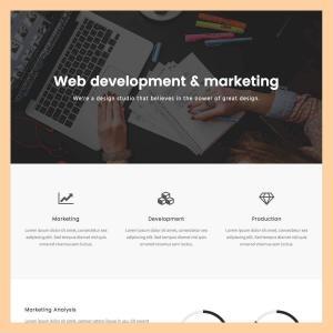 Web Agency Company Page